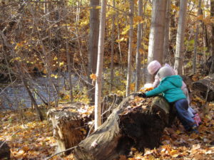two children playing on a rock in the forest