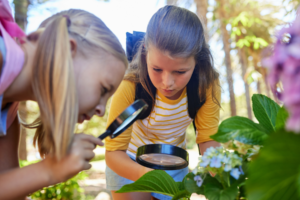Two girls looking at leaves outside using magnifying glasses