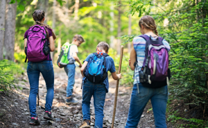 a family walking in a wooded area 